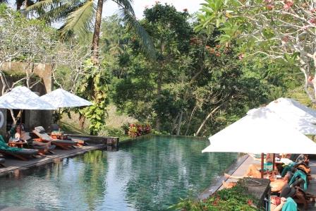 Pool des Hotels Maya Ubud